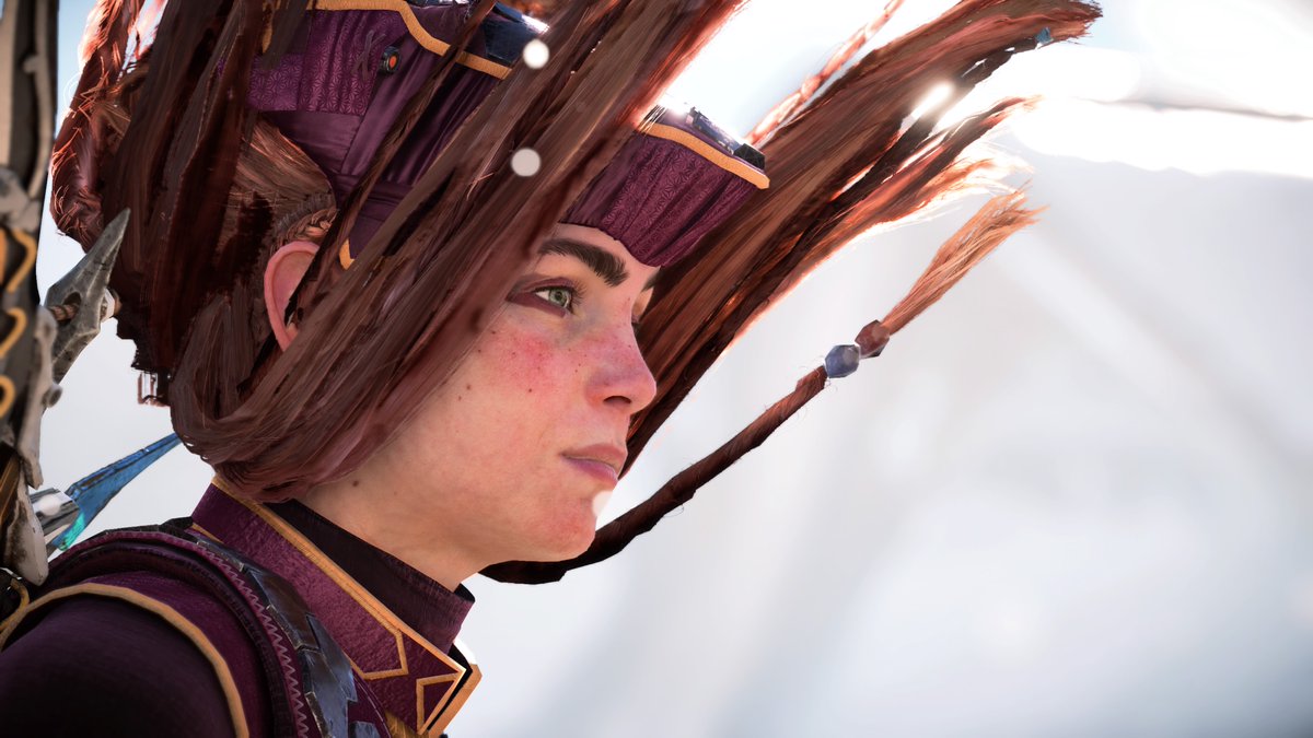 Joyrider2525's tweet photo. カージャ横顔 #HorizonForbiddenWest #BeyondTheHorizon #Photomode #VPCALOY #ALOY #VirtualPhotography #VPCONTEXT #Horizon写真部 https://t.co/4L7ny7NUH6