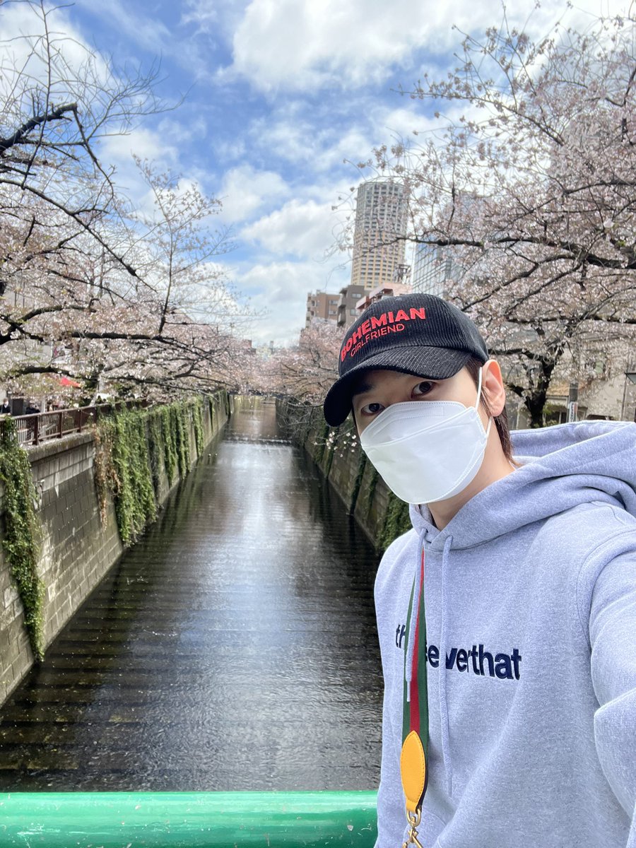 MrDalnim_'s tweet photo. 🌸 #SuperJunior #Japan https://t.co/Hnq1TQAv5P
