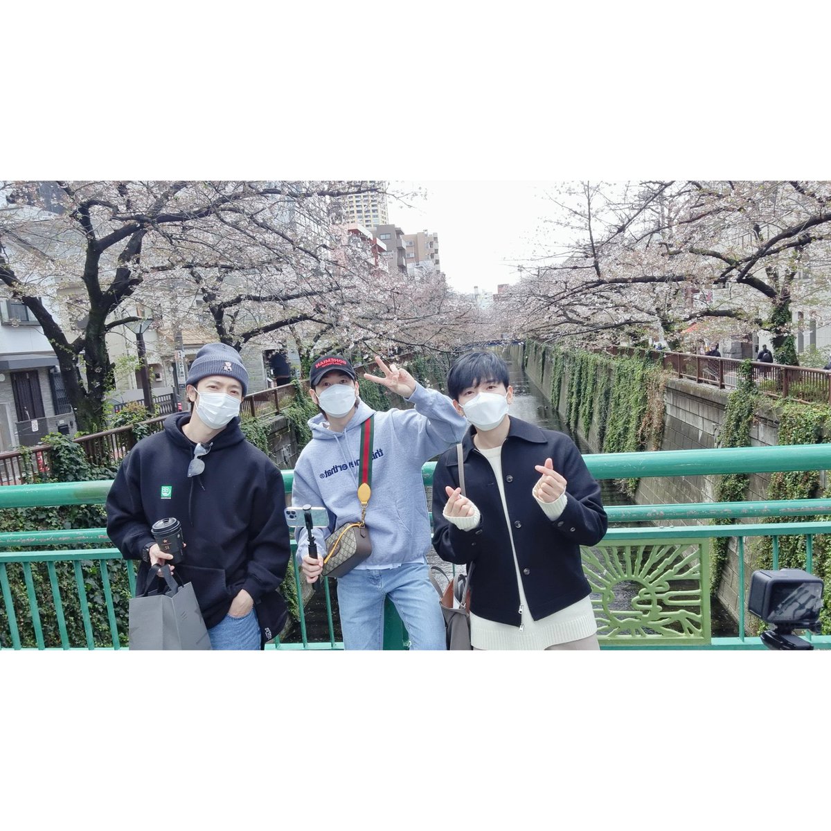 MrDalnim_'s tweet photo. 🌸 #SuperJunior #Japan https://t.co/Hnq1TQAv5P