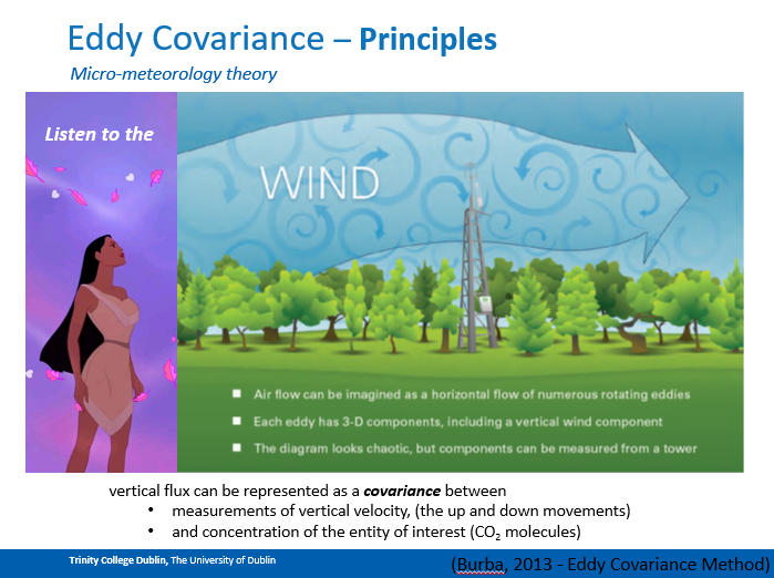 MValmier's tweet photo. I gave a #talk at the @TCD_NatSci
#NERDClub last week ๐ค
Finally dared to add my fav #Disney #princess in my presentation to explain the principle of #EddyCovariance ๐ฌโ
#Pocahontas ๐
#ListenToTheWind ๐
#ScienceCommunication ๐ #PhDlife ๐ #AcademicChatter
@LICOR_ENV https://t.co/YxY8Z4GVxR