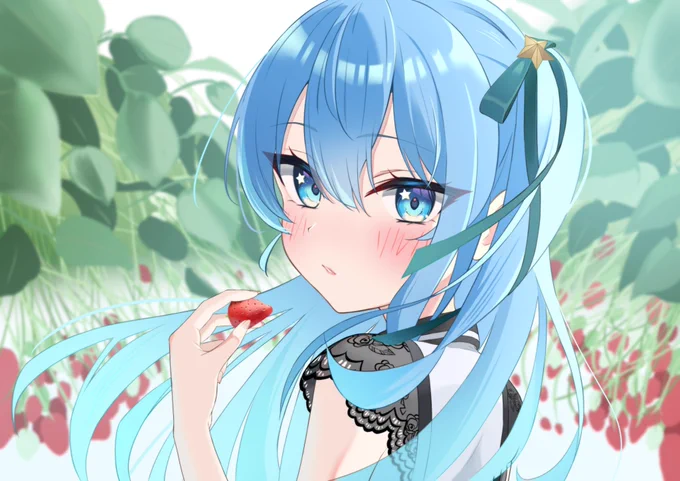 イチゴの季節
 #ほしまちぎゃらりー 
