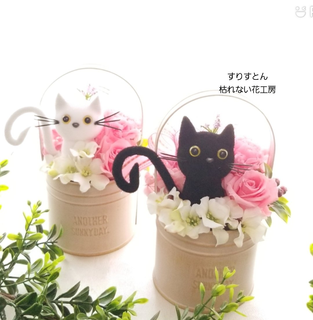 threestone___'s tweet photo. 猫好きな方への贈り物に(*^-^)
ハンドメイドサイトで好評販売中！
#猫　#プリザーブドフラワー　#猫好き　#母の日プレゼント　#フラワーギフト　#ねこ
#可愛いねこ

 https://t.co/g35jESllO6 
3850円 https://t.co/NCweP1YcQp