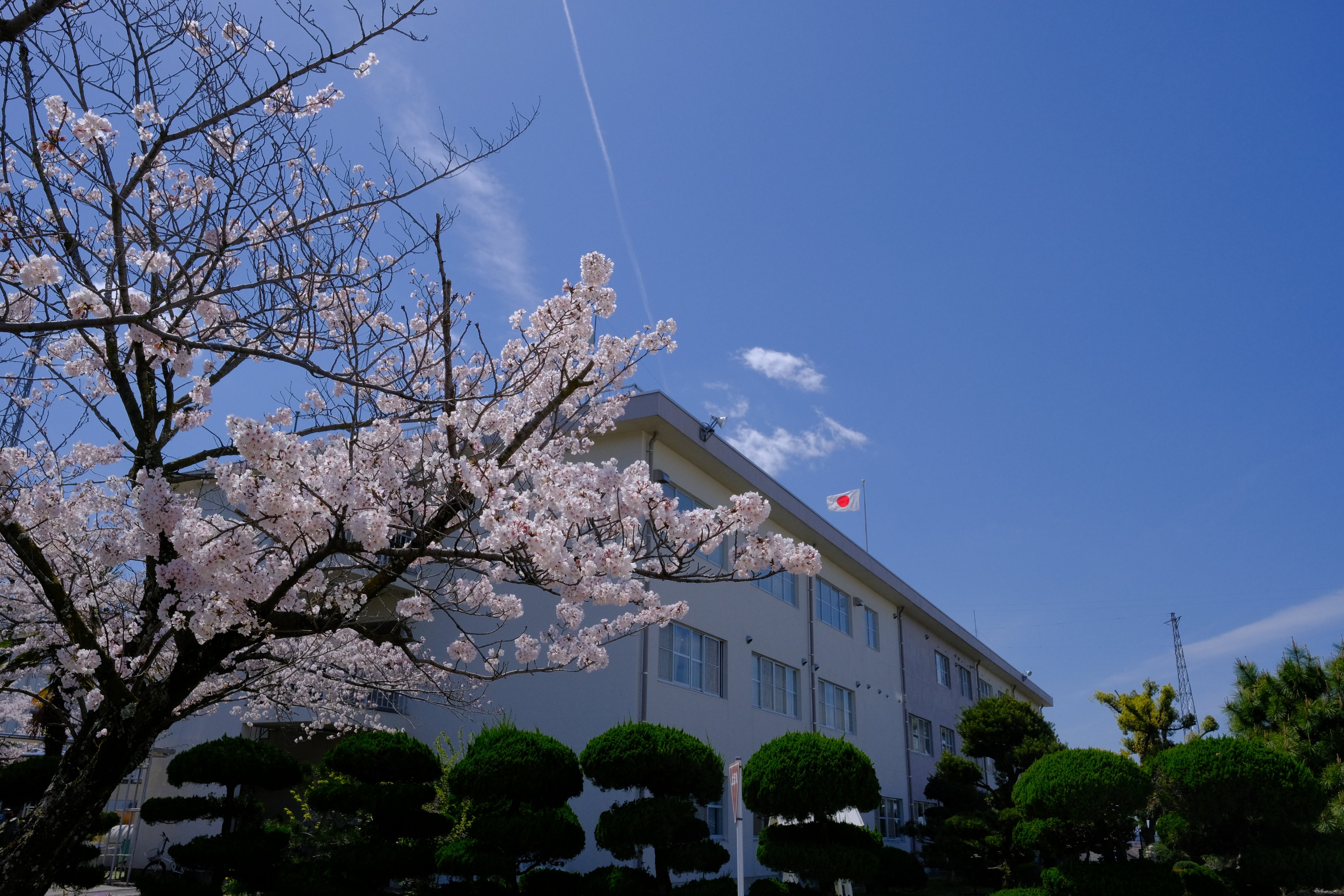 陸上自衛隊 信太山駐屯地 Shinodayama Twitter