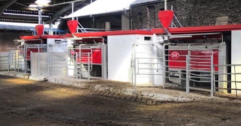 LelyHolsworthy's tweet photo. 🐄And we’re off! 🐄
The first cows are through the 3 A5 robots - it’s a great team effort between the Heard family and members of the @Lely_DC team this morning.
#lely #lelydevonandcornwall #lelyastronaut #startupday #robotstartup #teamdairy #devonfarming https://t.co/R2Jt5Je4zW