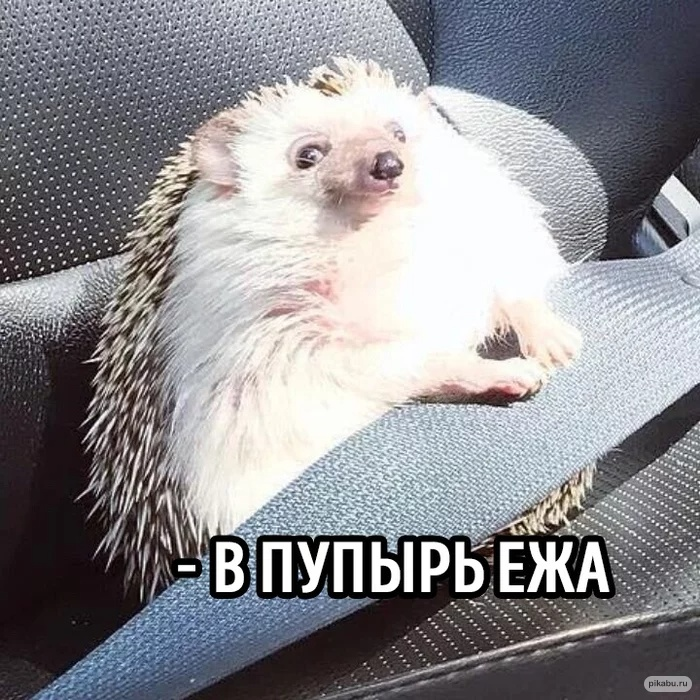 abstruse_cook's tweet image. 