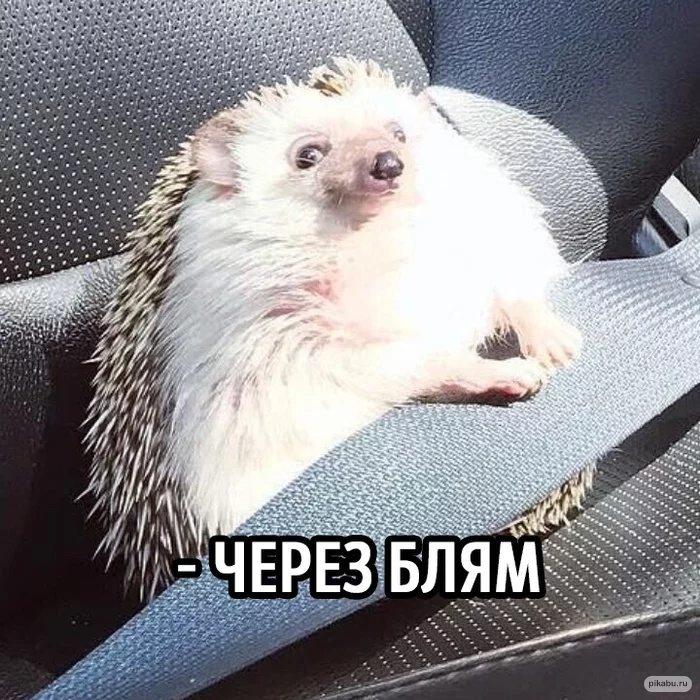 abstruse_cook's tweet image. 