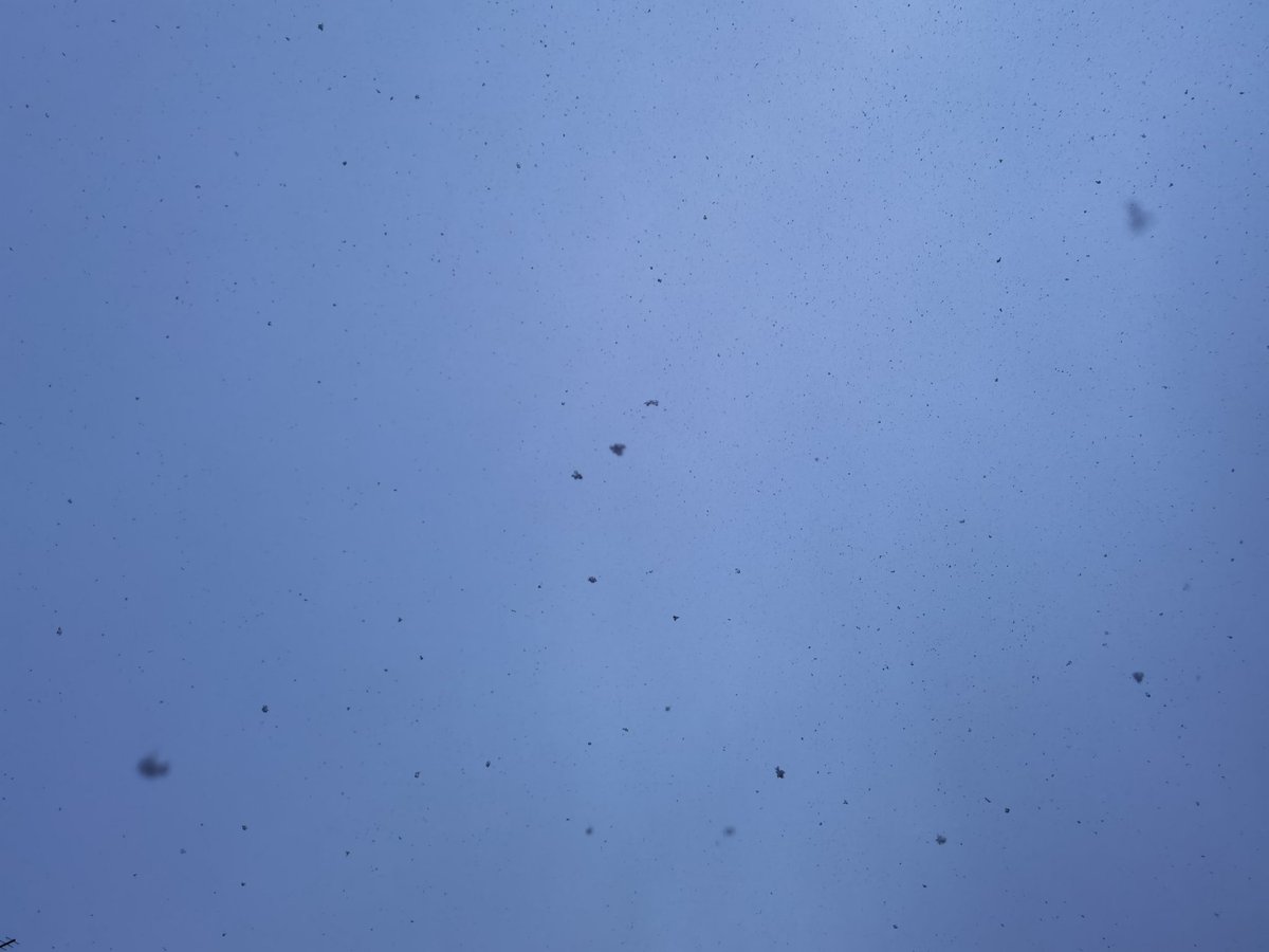 BlairDurno's tweet photo. Snow and Hailstones. #Huawei #HuaweiP40Pro #CapturedOnHuawei #LoveMyHuawei #MyHuaweiMoment #HuaweiCommunity @HuaweiMobile @HuaweiMobileUK https://t.co/v1XTDJHPDb