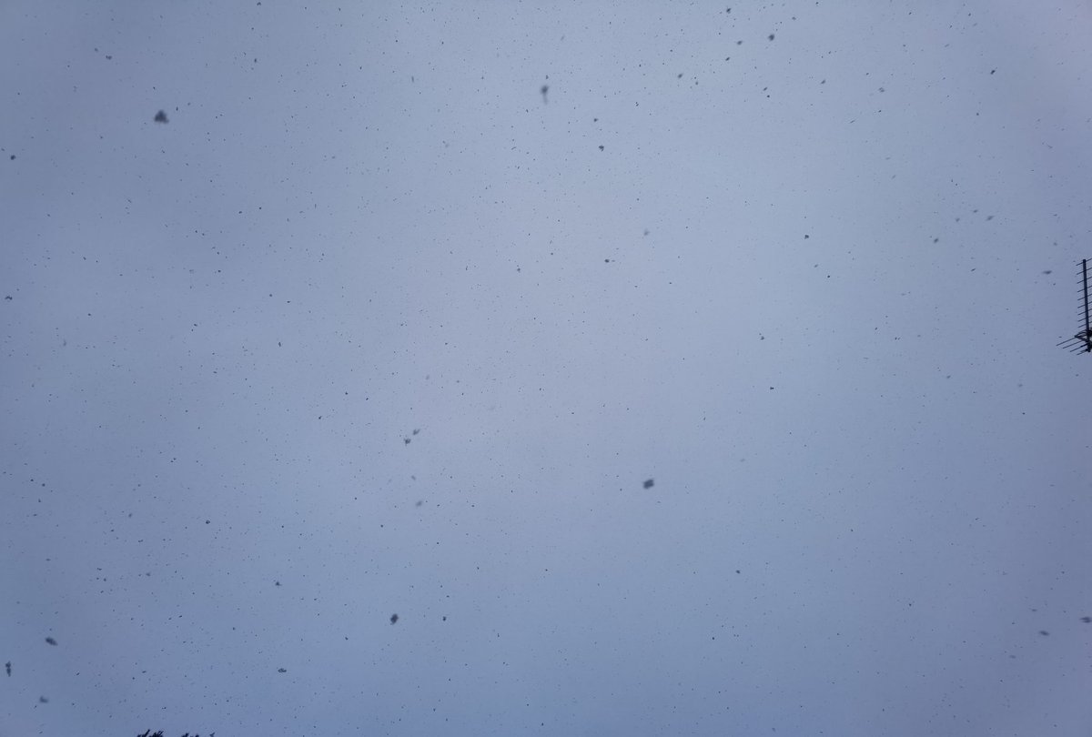 BlairDurno's tweet photo. Snow and Hailstones. #Huawei #HuaweiP40Pro #CapturedOnHuawei #LoveMyHuawei #MyHuaweiMoment #HuaweiCommunity @HuaweiMobile @HuaweiMobileUK https://t.co/v1XTDJHPDb