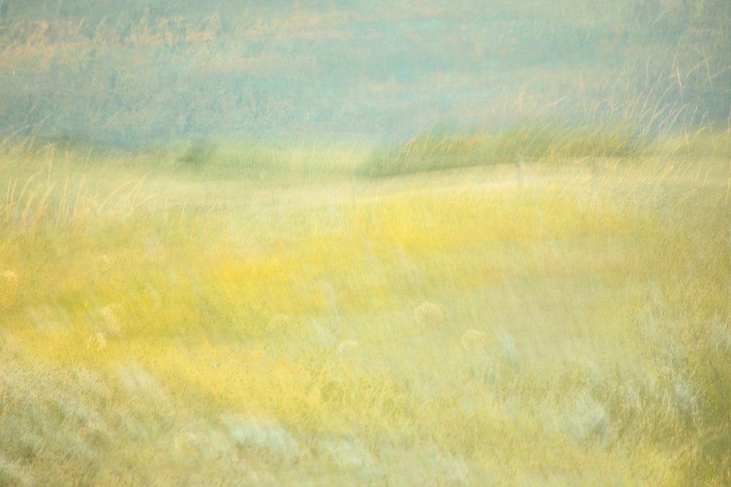 This is ‘Sweet Grass’ by Laura Goin, a wonderful American photographer who will be exhibiting at the <a href="/thehorsebridge/">Horsebridge Centre</a> exhibition in November. Come and see her new work along with all the other talented participants.