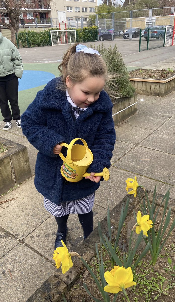 The_hub_SAGA's tweet photo. Watering our beautiful spring flowers, they make us smile! #happyflowers #learningandgrowing #lovespringtime #daffodils @StAnnesgaCPS https://t.co/WKilvo2Raa