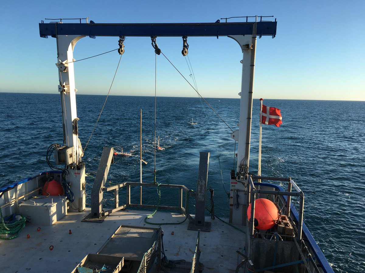 geusmarine's tweet photo. Geophysical data acquisition onboard @rvAURORA in the #NorthSea under #SEEP project with @AarhusUNI &amp; @DTUoffshore #Geosciences Can you spot our multichannel system for shallow seismics? @AarhusUni students and technician together with @LassePrins &amp; @LaraFPerez checking the data https://t.co/ghcQh3zsw9