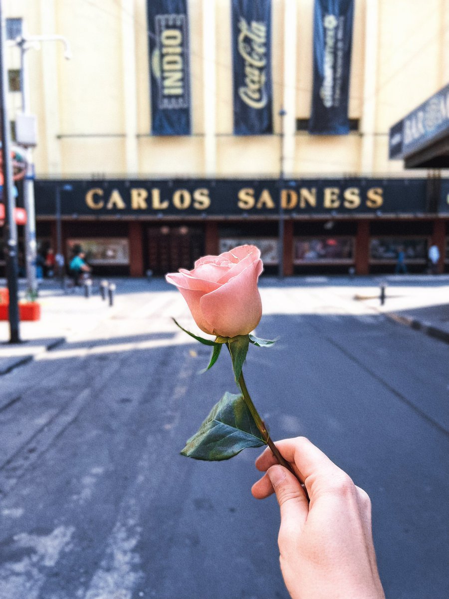 Adéu Mèxic, gracias por llenarme de colores. El camino sigue en Quito, Cuenca y Bogotá, antes de volver a casa y celebrarlo en Madrid. ¿Vienes a algún show? carlossadness.com