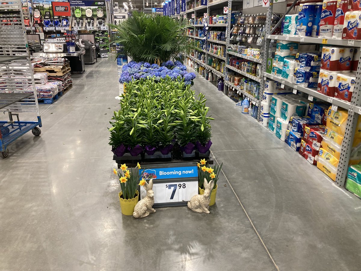 Getting ready for Spring Fest🐰🐰🐰 #Lowes2848 #plantpartners