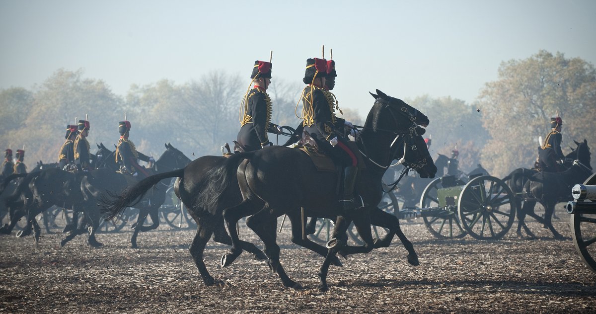 BritishHistorym's tweet photo. The King's Troop riding in Hyde Park in preparation for a Royal Salute for the birthday of Prince Charles, 14 November 2012.

#Britisharmy #kingstroop #hydepark https://t.co/H9U8Eq3zYl