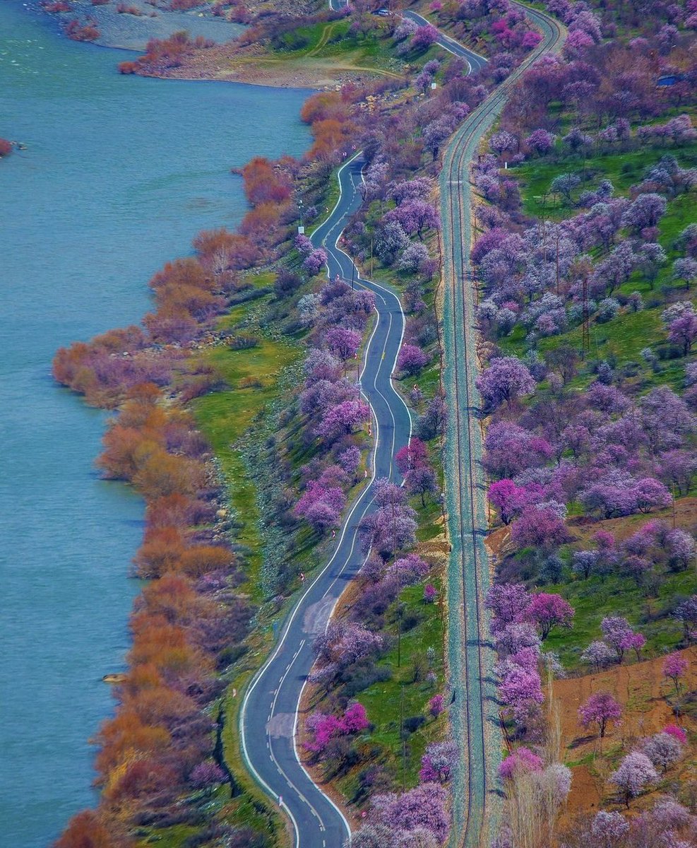 Norveç’in muhteşem doğası içinde bir tren yolculuğuna kim hayır diyebilir? Şaka şaka burası Elazığ.. Bademler çiçek açmış ve şimdi en güzel zamanı.

📸 Enver Hancı