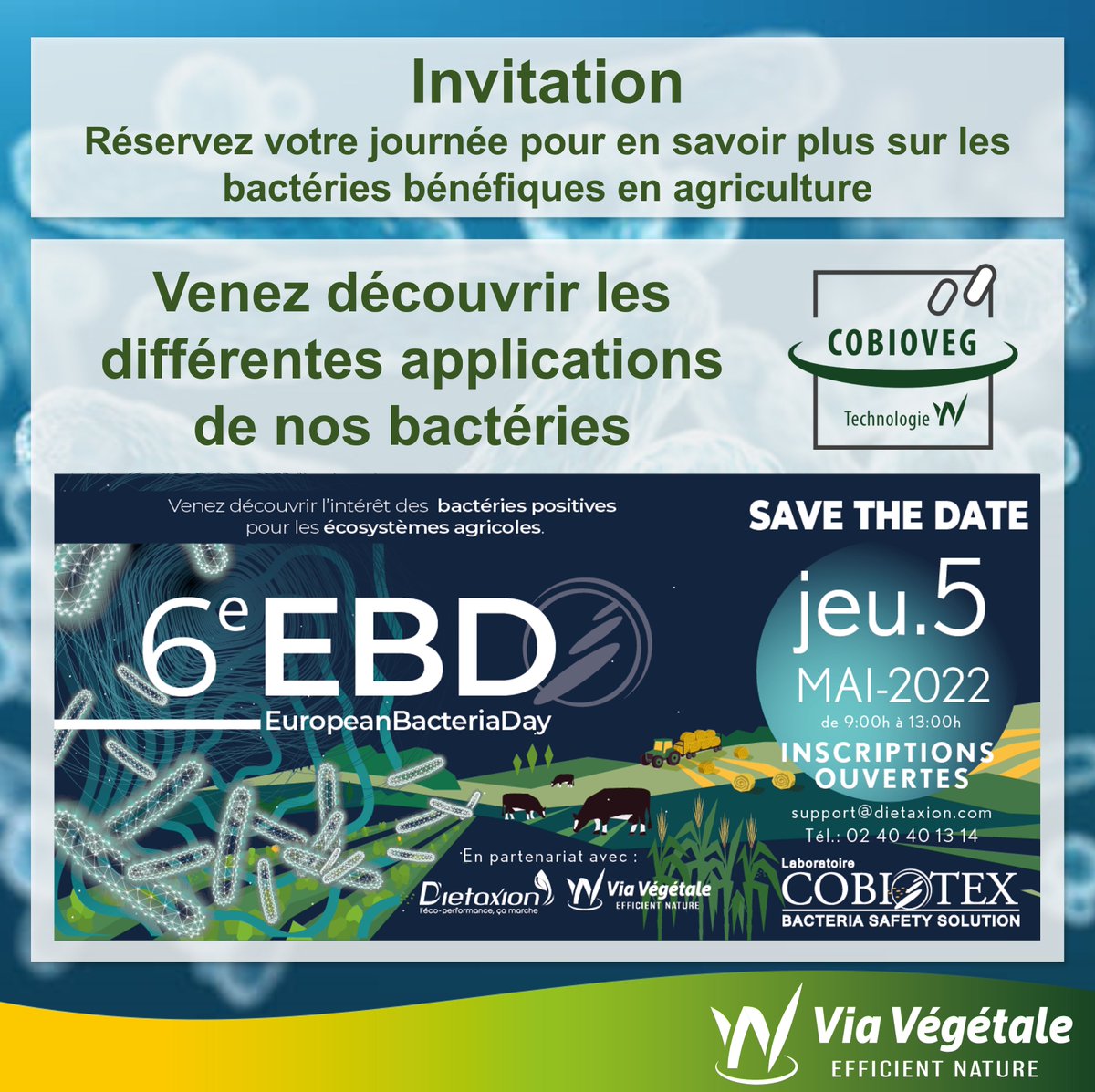 Via Vegetale tweet media