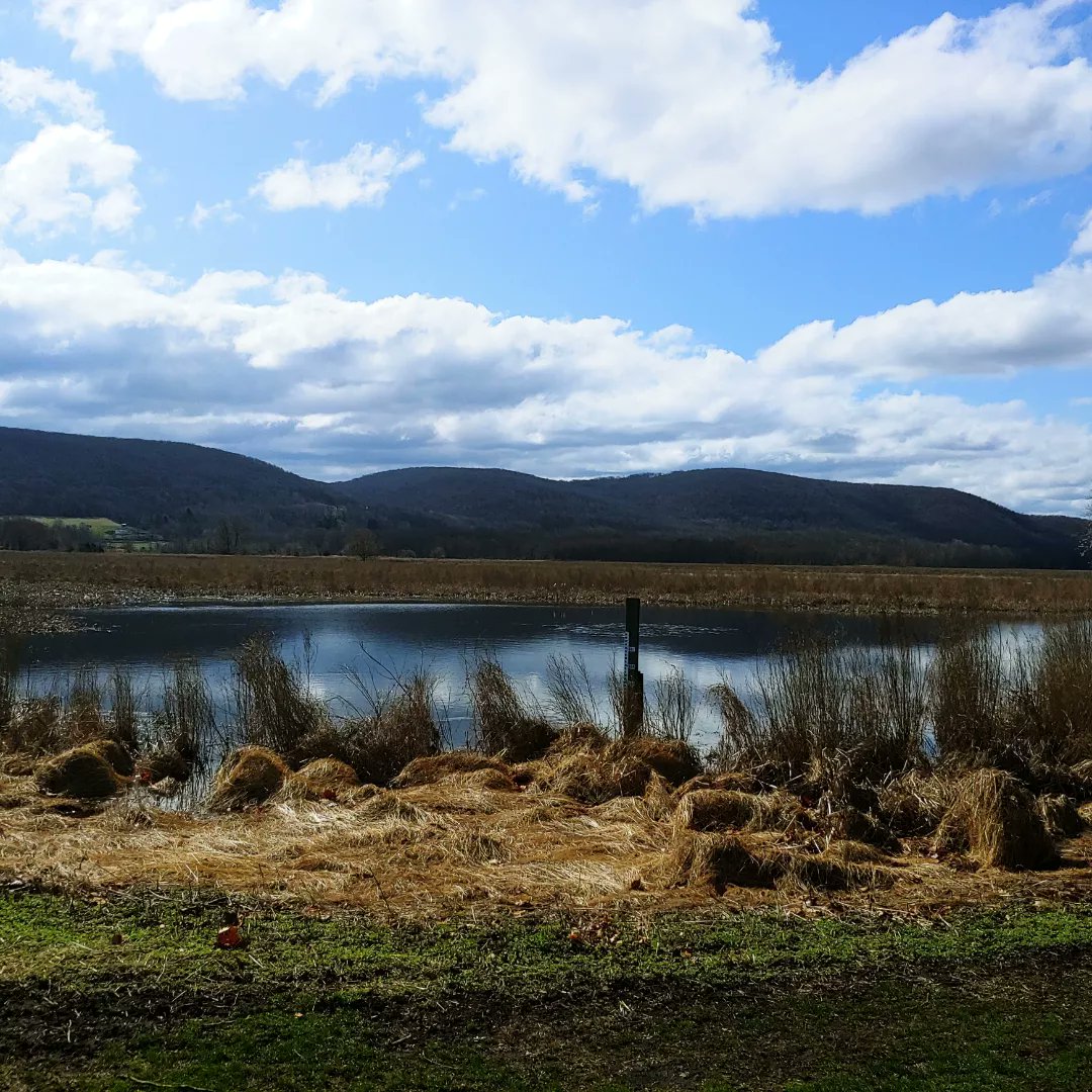 A walk at the Wildlife Refuge.  A beatiful day with the eagles and geese.