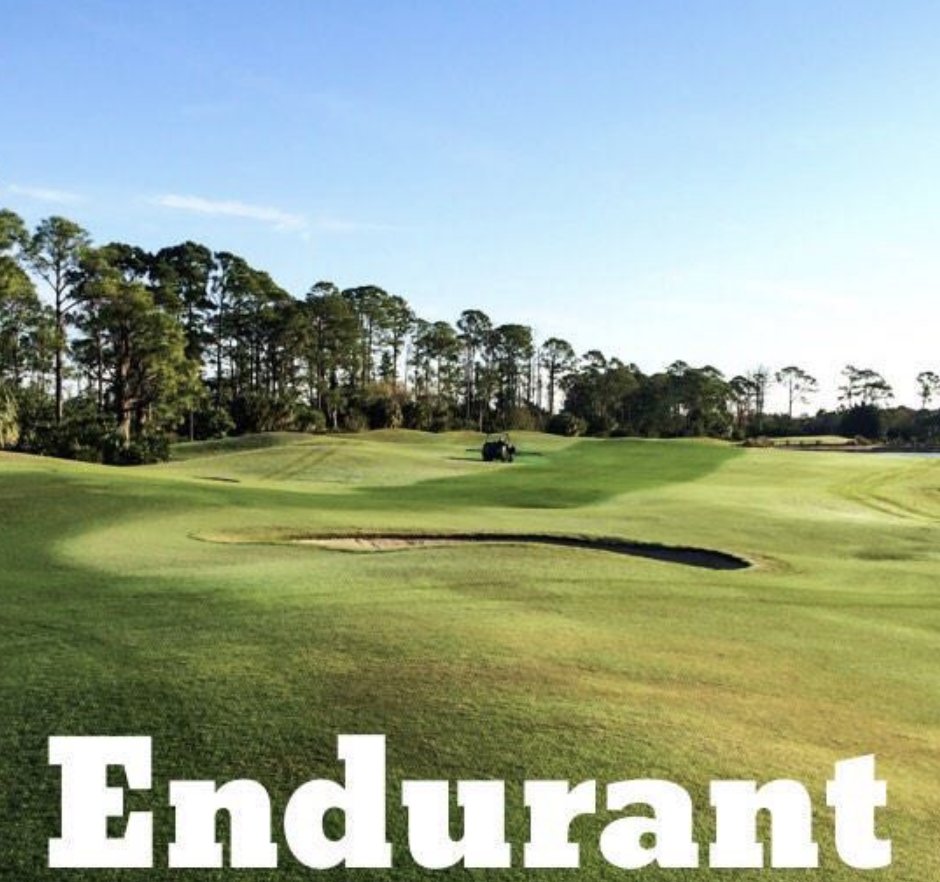 genesis_dist's tweet photo. Now is the perfect time to use Endurant Flex @geoponics -highly economical + effective for transition times on golf courses + sports fields. Flex Your Turf means to show it off! Make it look its best all year long with #endurantflex #flexyourturf #turfpaint #transitiontuesday https://t.co/VxAQigG1B2