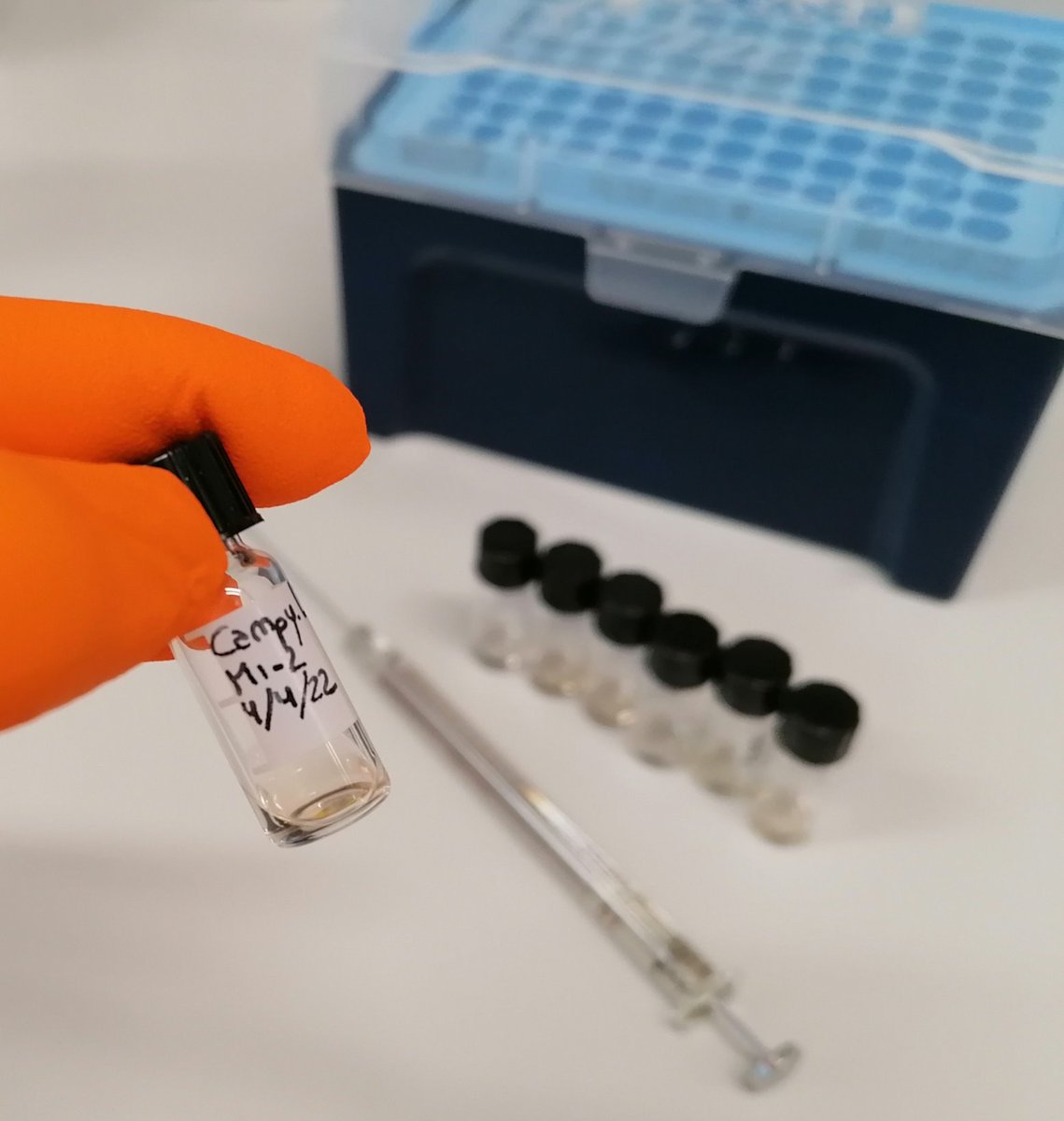 AlohaNailoha's tweet photo. Getting help from my old friend "Folch" to gather more info about #Campylobacter
That hue π
#lipidanalysis
#analyticalchemistry https://t.co/A6pEdVI7zN
