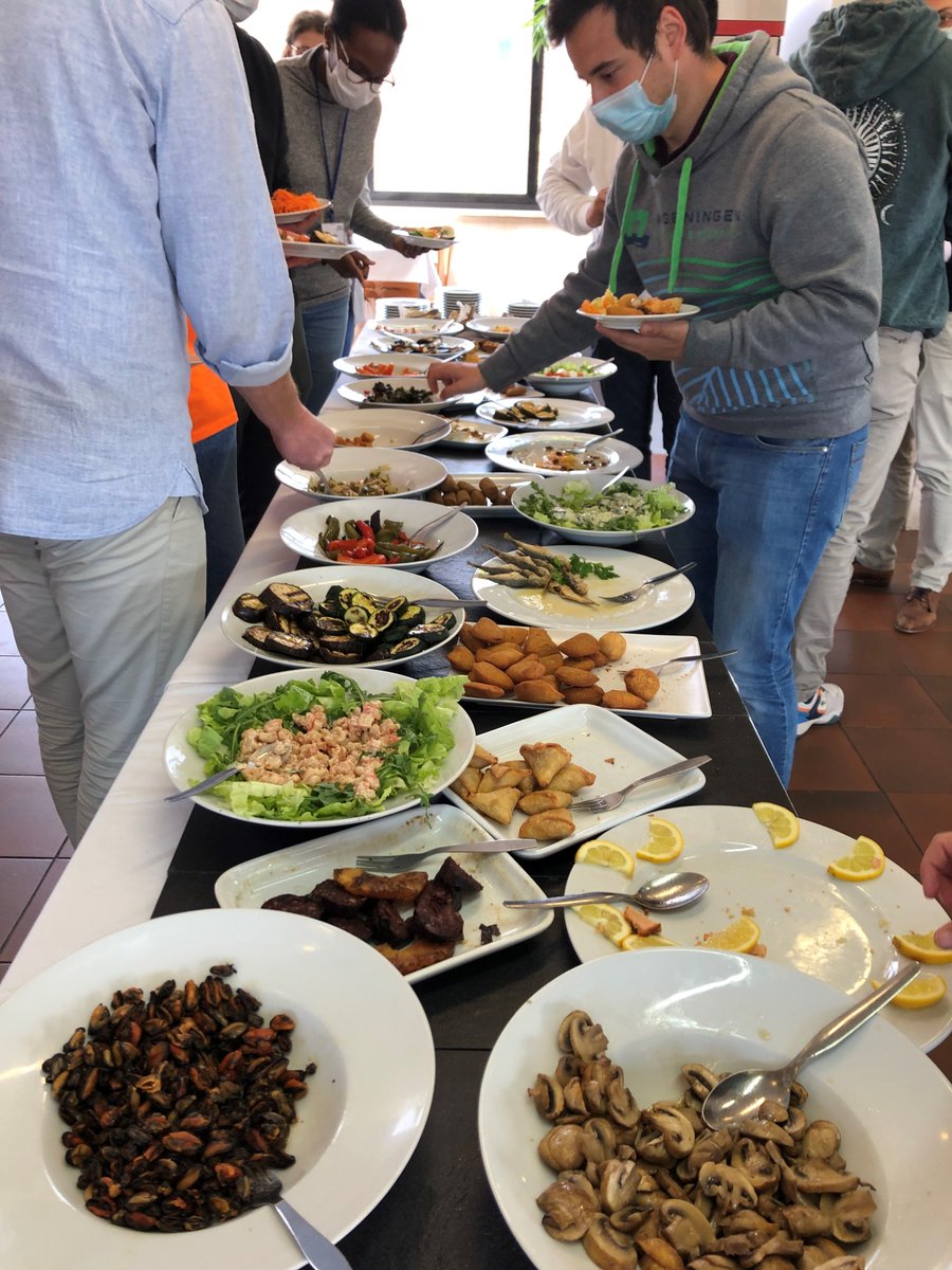 First day of <a href="/insectdoctors/">insectdoctors</a> course 'Mixtures &amp; combined stressors' <a href="/UnivAveiro/">Universidade Aveiro</a> with all ESRs in person! Enjoying interesting discussions with lecturers @SLoureiro_UAVR,Kees van Gestel,<a href="/E_Dearlove/">EllieDearlove</a> &amp; Claus Svendsen - also the sun &amp; the 'starters' to refuel! #InsectDoctorsAveiro2022