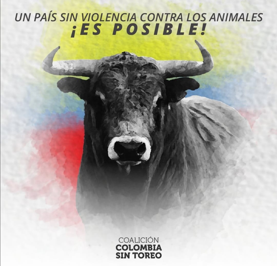 victorpab25's tweet photo. #ColombiaSinToreo https://t.co/5CD2Mf6Oza