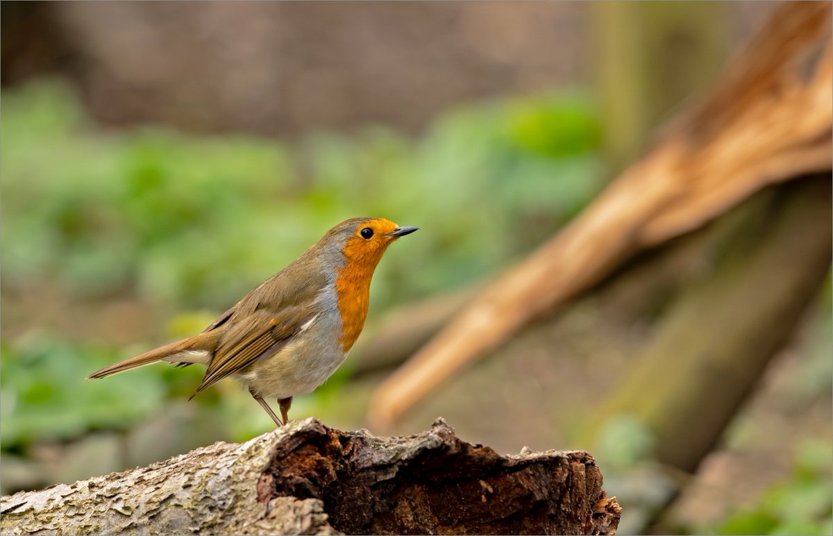 john caswell tweet media