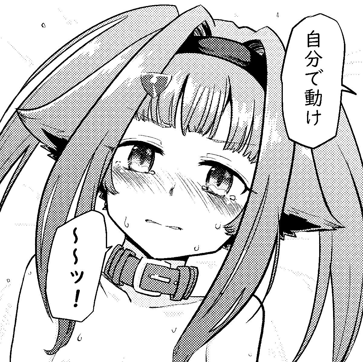 あやめ 
