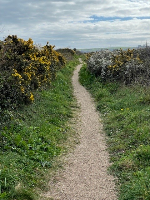 CarlaneCourt's tweet photo. Enjoyable walk along #slaptonley from @carlanecourt #slapton #southdevon to #stretegate #dogfriendly beach with an ice cream reward. #booknow https://t.co/saxVrvs3Qc for 2 bed and 3 bed #accommodation https://t.co/3qNuISNJXM