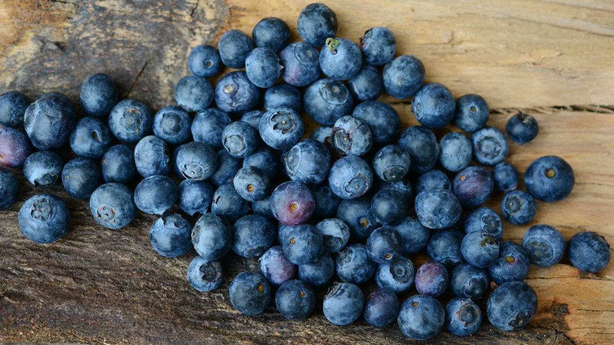 RT @nutrition_facts: What is the optimum dose of wild blueberries to eat at a meal? https://t.co/GMAN1mXK2A https://t.co/Gt0z4YAnqY