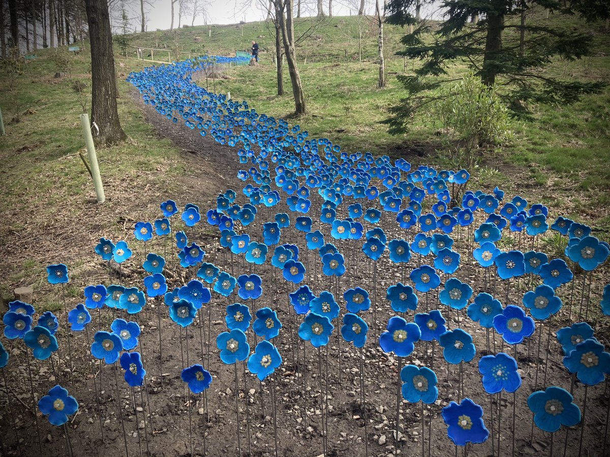 Amanda Harper tweet media