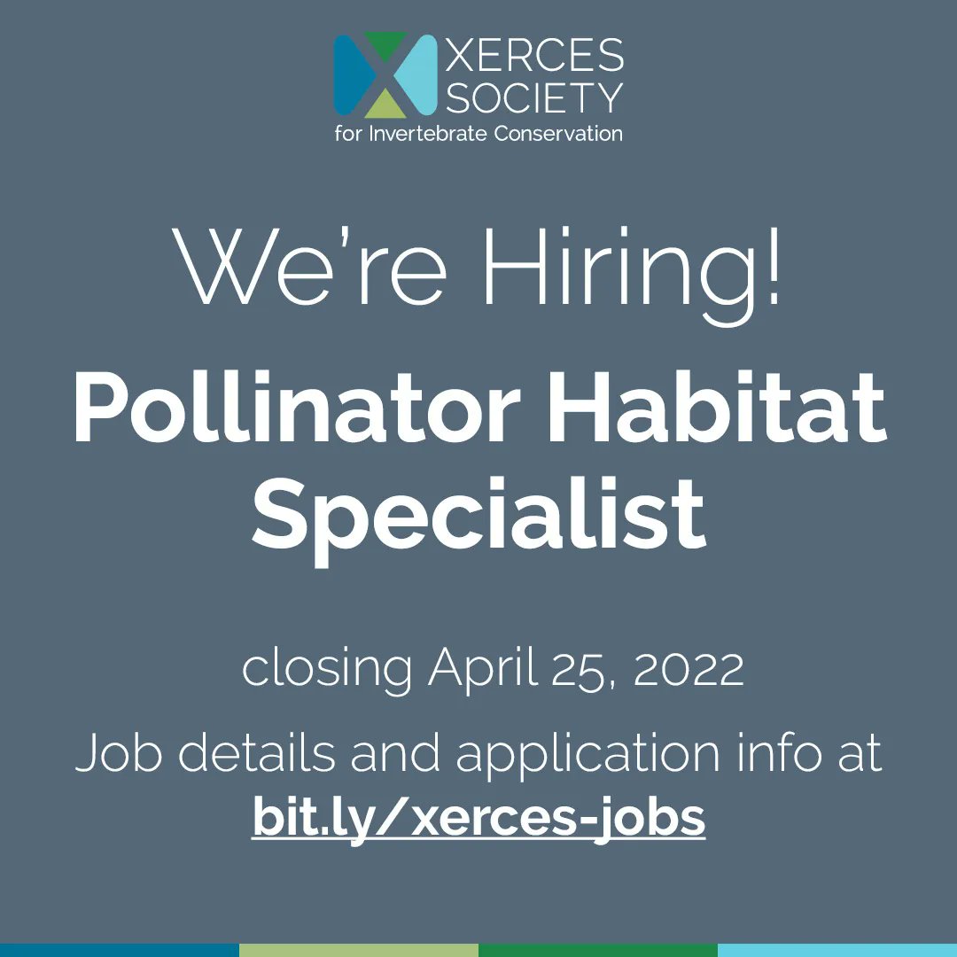 We're seeking a Pollinator Habitat Specialist to support Xerces' private-sector partners in designing and implementing cutting-edge conservation systems for bees and beneficial insects on farms across the Pacific Northwest. 
Full details at buff.ly/36R839E