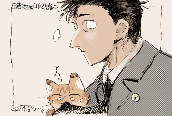 🌻🐱 