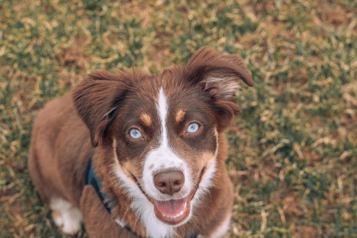 Indigo + Issa | Darienne 💁🏽‍♀️ tweet media
