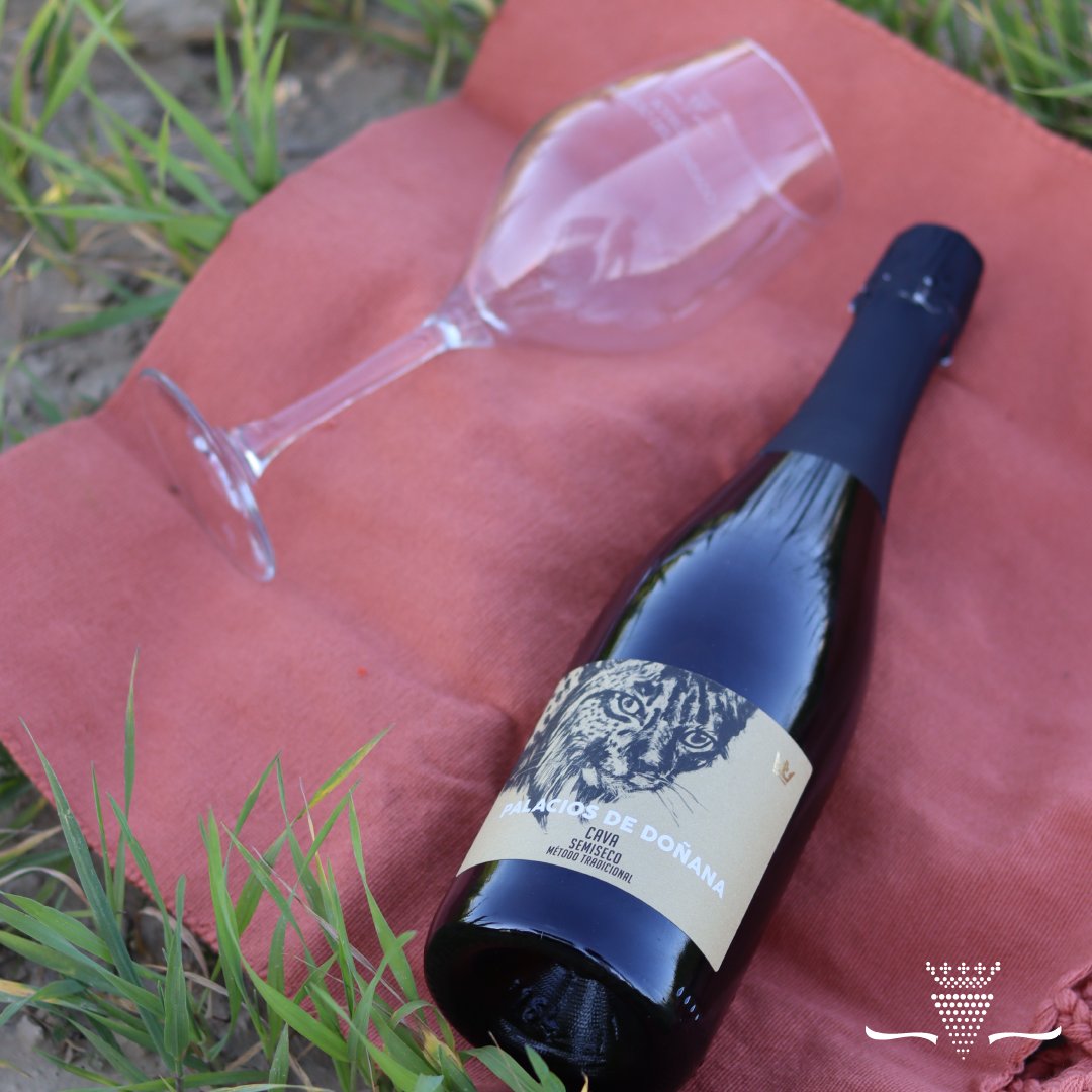 Se acerca la Semana Santa y hay que ir pensando en disfrutar del momento, ¿Qué te parece este planazo? 😋

Disfrutar de un picnic en  los campos del Condado de Huelva es siempre un privilegio. 🤞

#vinoblanco #huelva #condadodehuelva #winelover #dateelprivilegio #spanishwine