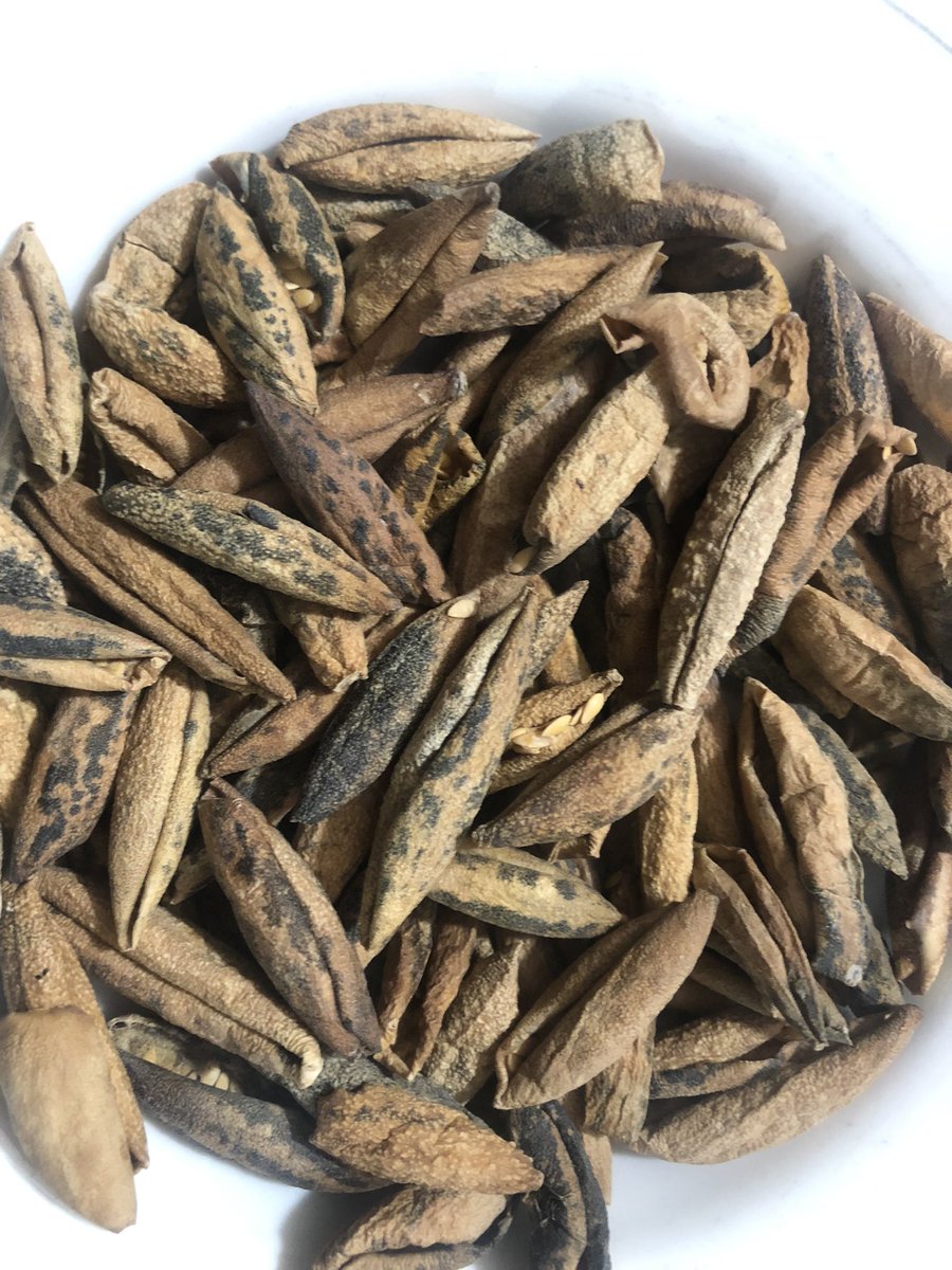 amarguriro's tweet photo. My #Bhabhi sent some dried Thari vegetables, including these organic dried #wildmelon or #WildCucumisMelo (#Chibhar or #Mateera in #Sindhi). These can be boiled and cooked just like any fresh vegetable, but I love frying them and using as evening snacks.
#DesiFood #ThariFood https://t.co/mPUEYhkDAo