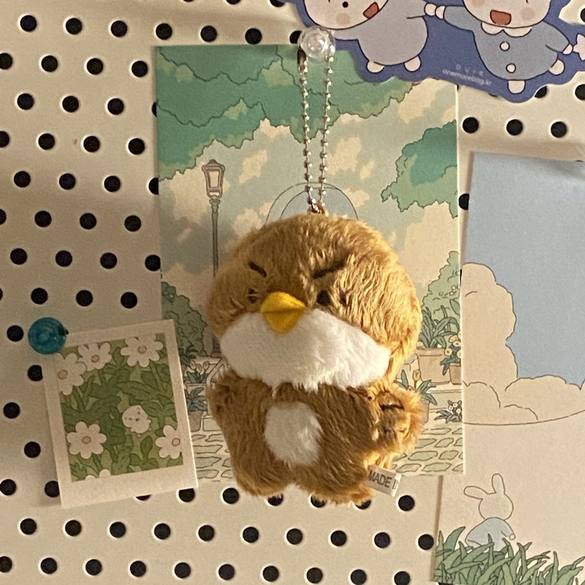 짹돌이 진짜 주먹보다 작아서 넘 놀랏어요.....근데 진짜 ㄱㅇㅇ