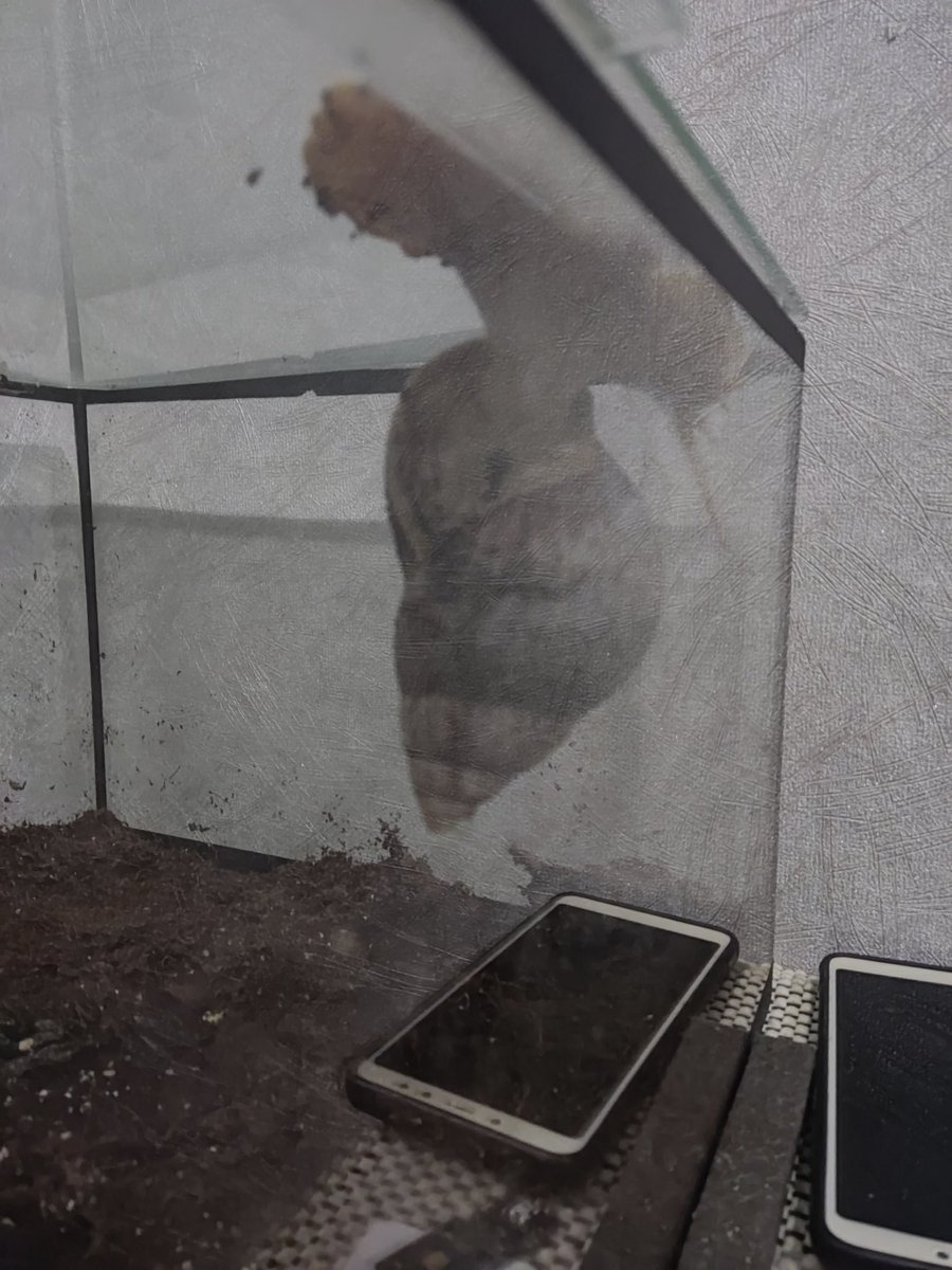 Владимир tweet media