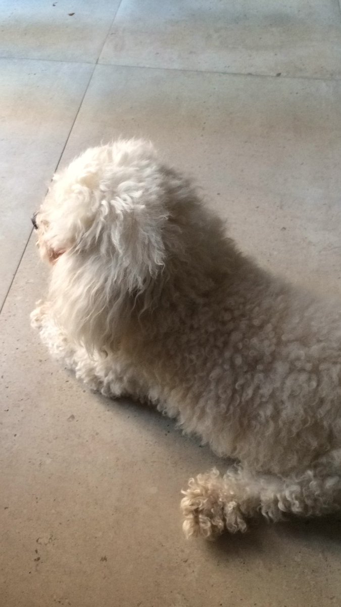 BUSCAS ALQUILER: 04249744355 ANA N, ISLA MARGARITA (@ananavarro68) on Twitter photo 