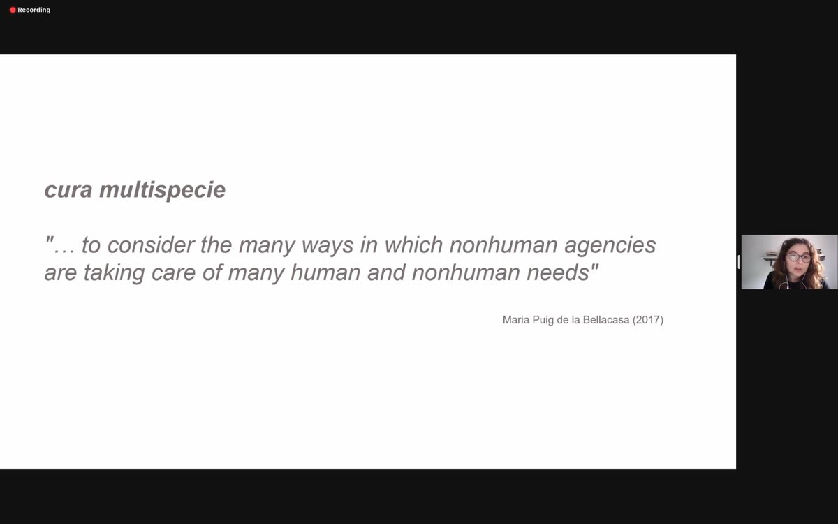 'Un suolo vivo può esistere solo attraverso una comunità #multispecie di esseri che lo attraversano e lo creano' @CSgaramella cita Maria Puig de la Bellacasa su suolo e cura dell'ambiente al primo 'Building BRIDGES' webinar con @SFuntowicz e @abenessia. #bridgeswebinar