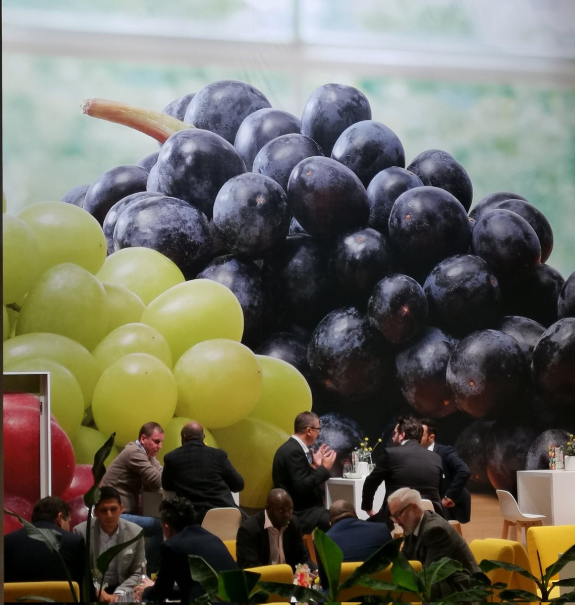 Zurück an der #fruitlogistica2022,für einmal im Frühling. Hat etwas mehr Raum wie in anderen Jahren.