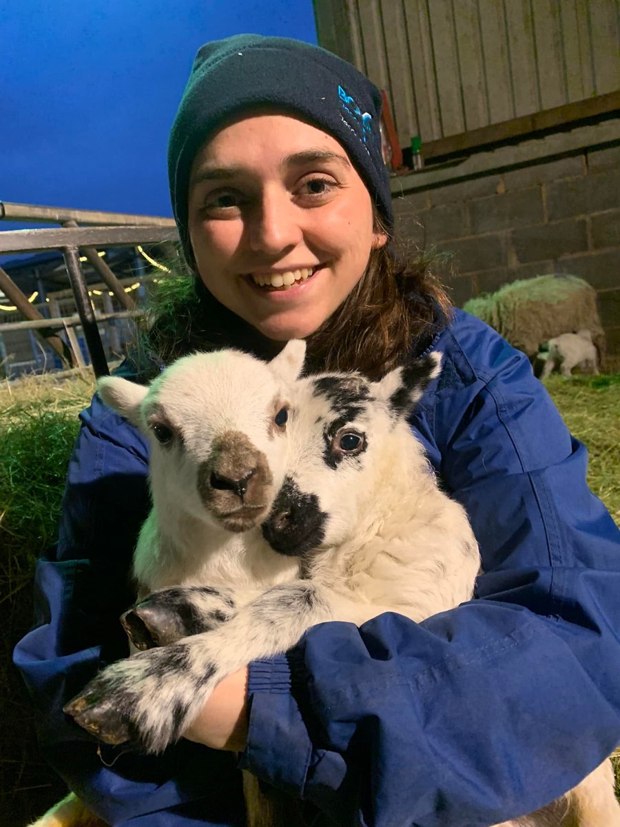 sandwellcouncil's tweet photo. 🤩 Look at these lovely new arrivals at Forge Mill Farm! 🧵
 
🐐🐄 Come &amp; meet them all at our 'New Life at the Farm' event between 9 - 24 April 2022. It'll be baaa-rilliant.

🐣 Say hello to our new-born goat kids, baby lambs, new stripy cows, spotty sheep &amp; some tiny chicks. https://t.co/X0weD2bZok