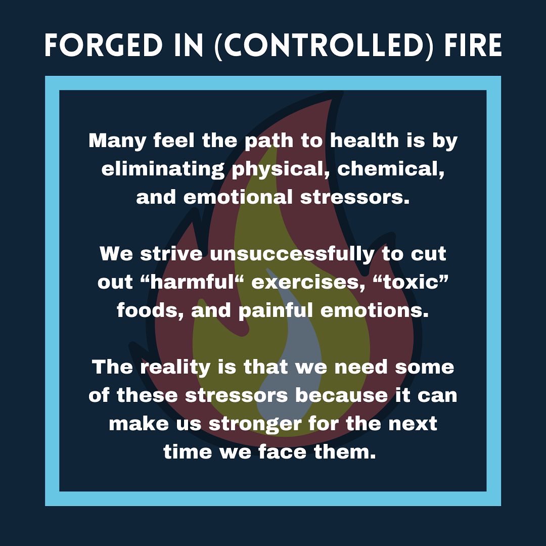 Keystoneneuro's tweet photo. The goal shouldn’t be to avoid something harmful indefinitely. It’s to prepare our bodies for the world we live in by gradual exposure. It’s a core principle of many rehab strategies https://t.co/IAyTiHmju5