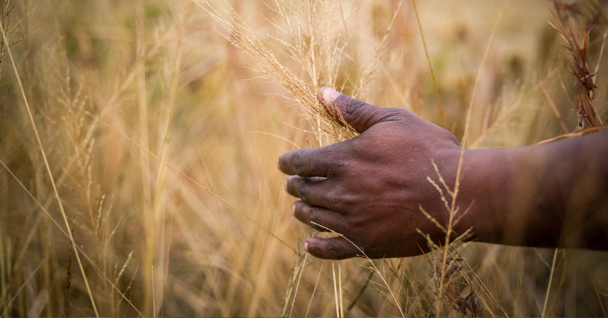 VisitHomestead's tweet photo. The stillness of a sunrise walking safari is sublime. 

Read about what you can discover on foot at The Homestead 👉 https://t.co/aL8mBj8j98

#visithomestead #thehomestead #walkingsafari #sunrisesafari #luxurytravel #luxurysafari #africansafari #southafrica #nambiti https://t.co/nXwTMVvEwh