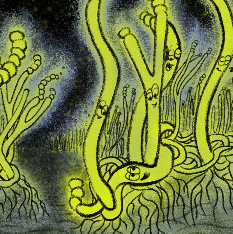 @eliza_coli - see campsite bio for other socials tweet media