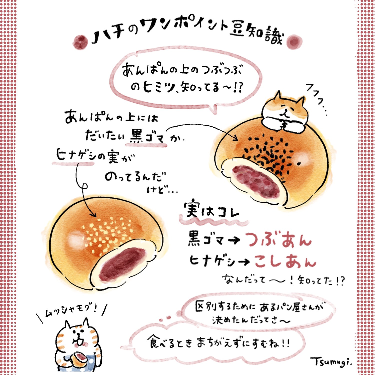 ごろごろにゃんすけ 公式 あんぱん豆知識 つぶあん こしあん みんなはどっち派 ごろごろにゃんすけ ハチのワンポイント豆知識 T Co Ctvhvxflbt Twitter ごろごろにゃんすけ 公式 あんぱん豆知識 つぶあん こしあん みんなはどっち派 ごろごろにゃんすけ ハチのワンポイント豆知識 T Co Ctvhvxflbt Twitter