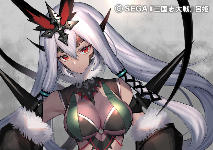 三国志大戦3 呂姫 R - メルカリ