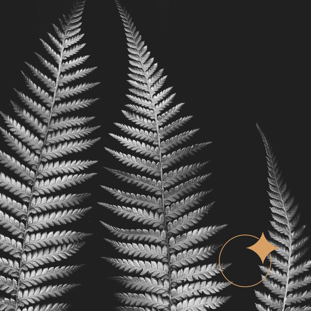 myhumanapp's tweet photo. “be impeccable with your word. don't take anything personally. don't make assumptions. always do your best.” — Don Miguel Ruiz
#fouragreements #doyourbest #noassumptions #bestself #beimpeccable #stayfocused #keepgoing #dating #relationships #donmiguelruiz #human #selflove https://t.co/d5SZOqJqN2