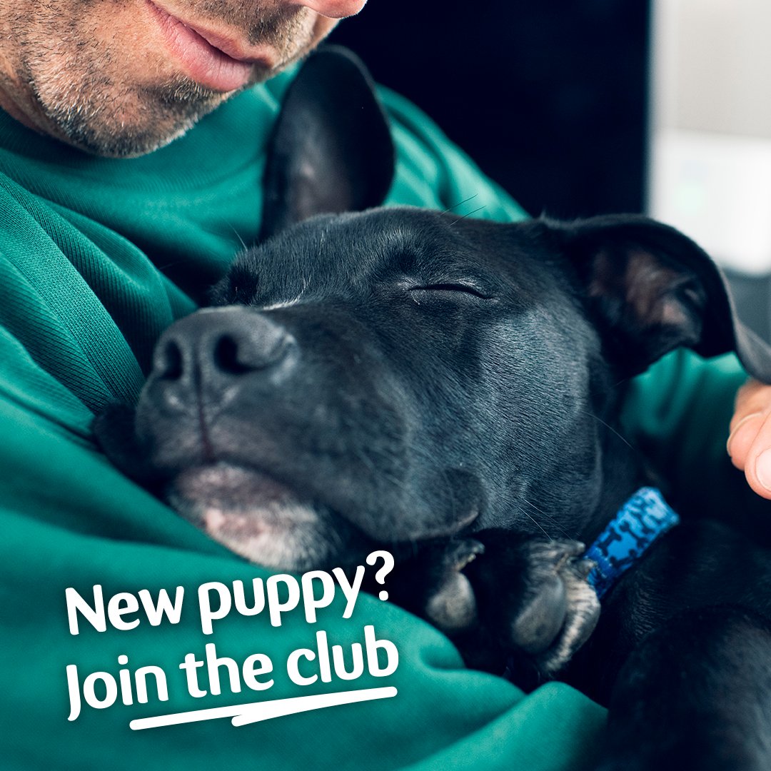 New Puppy? Join the millions of pet owners getting expert advice and tailored offers through their puppy's first year.

☑️Expert advice
☑️10% off your first shop
☑️ Free bag of AVA or Wainwright's food
☑️ Free month Flea &amp; Worm treatment

Find out more:
petsathome.com/shop/en/pets/d…