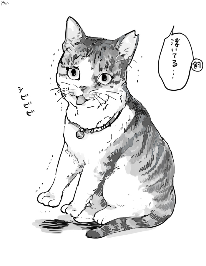 猫、起きた後の伸びが独特 