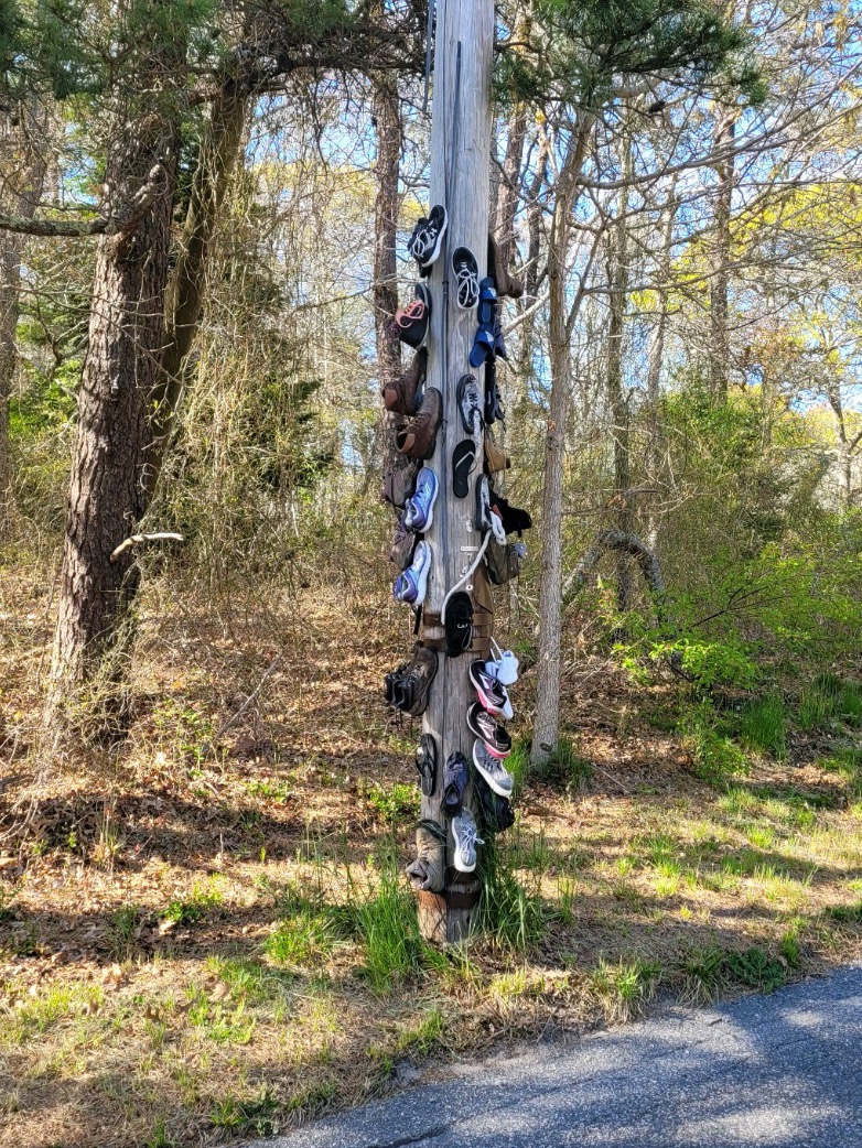 HappyCapeCod's tweet image. Does anyone know the backstory of the shoe pole on Tubman Road in Brewster? happycapecod.com/shoe-pole-on-t…